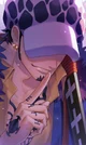 Trafalgar Law 