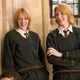 Fred y George