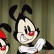 Yakko Warner