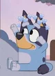 Bluey Heeler