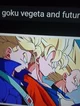Goku Vegeta and trun