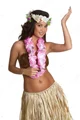 Female hula hawaiian