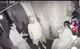 Haunted escaperoom 