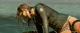 The shallows rp