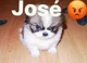 Jose 