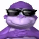 BONZI BUDDY