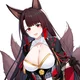 IJN Akagi