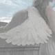 Wakio -your angel-