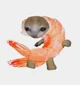 Shrimp Or me