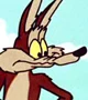 Wile E Coyote