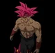 SSG Bardock 