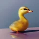 Beans The duckling