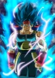SSB Bardock
