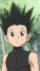 Gon