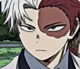 Shoto Todoroki 