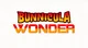 Bunnicula Wonder