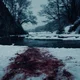 Blood in snow