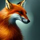 Foxer