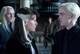 The Malfoy Family
