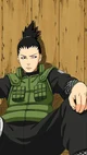 Shikamaru Nara
