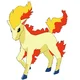Ponyta