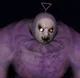 Tinky tank - 2023