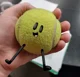 IRL Tennis Ball
