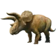 Triceratops