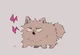 Pomeranian bakugou
