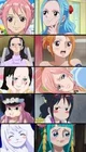 One piece harem