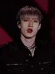Bang Chan Mafya