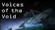 VOICES FROM THE VOID