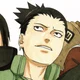 Shikamaru Nara