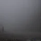 The fog