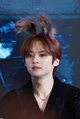 Bunny Minho