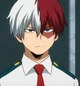Todoroki Shoto
