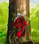 Inuyasha