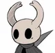 Hollow knight