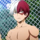Shoto Todoroki 