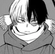 Shoto Todoroki