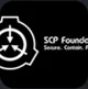 The SCP Organisation