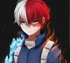 Shoto Todoroki