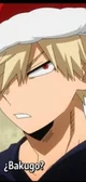 Bakugou Katsuki 