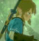 Link-Botw