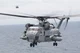 Super Stallion