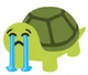 Sad turtur the turtl