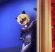 Chat noir