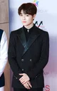 MafiaHubby Jeongin