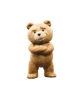 Ted