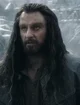 Thorin Oakenshield 